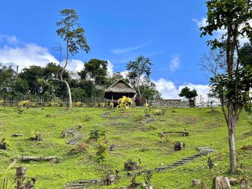 8,394 sqm Lake Shore Farm Lot for Sale in Brgy. Sisilmin, Cavinti, Laguna with overlooking view of Lumot Mahipon Lake