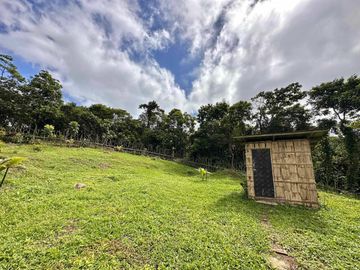 8,394 sqm Lake Shore Farm Lot for Sale in Brgy. Sisilmin, Cavinti, Laguna with overlooking view of Lumot Mahipon Lake