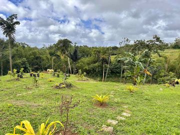 8,394 sqm Lake Shore Farm Lot for Sale in Brgy. Sisilmin, Cavinti, Laguna with overlooking view of Lumot Mahipon Lake