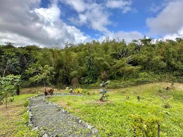 8,394 sqm Lake Shore Farm Lot for Sale in Brgy. Sisilmin, Cavinti, Laguna with overlooking view of Lumot Mahipon Lake