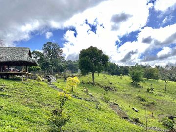 8,394 sqm Lake Shore Farm Lot for Sale in Brgy. Sisilmin, Cavinti, Laguna with overlooking view of Lumot Mahipon Lake