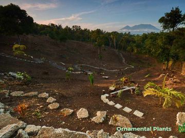 8,394 sqm Lake Shore Farm Lot for Sale in Brgy. Sisilmin, Cavinti, Laguna with overlooking view of Lumot Mahipon Lake
