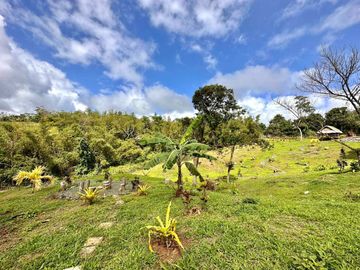 8,394 sqm Lake Shore Farm Lot for Sale in Brgy. Sisilmin, Cavinti, Laguna with overlooking view of Lumot Mahipon Lake