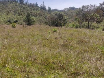 Venta Finca Agrícola y Ganadera Concepción Antioquia