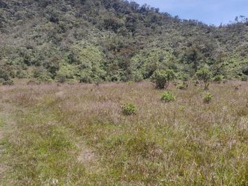 Venta Finca Agrícola y Ganadera Concepción Antioquia