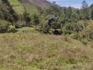 Venta Finca Agrícola y Ganadera Concepción Antioquia