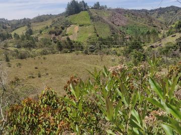 Venta Finca Agrícola y Ganadera Concepción Antioquia