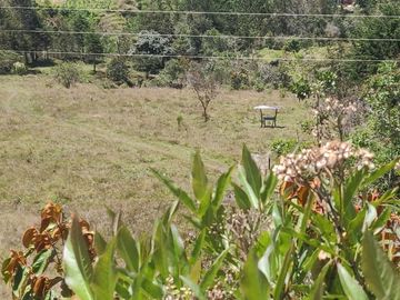 Venta Finca Agrícola y Ganadera Concepción Antioquia
