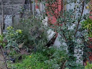 SE VENDE CASA EN TALCA, SECTOR NORTE .CERCANO UNIVERSIDAD DE TALCA