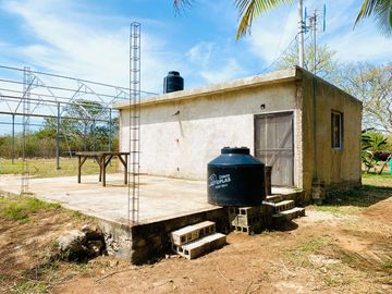 RANCHO CON GRAN VARIEDAD DE ARBOLES FRUTALES EN YOBAIN, YUC.