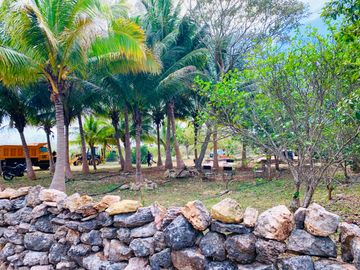 RANCHO CON GRAN VARIEDAD DE ARBOLES FRUTALES EN YOBAIN, YUC.
