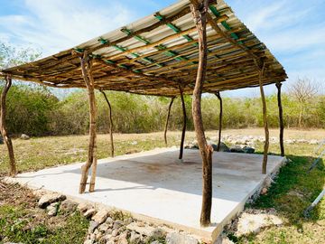 RANCHO CON GRAN VARIEDAD DE ARBOLES FRUTALES EN YOBAIN, YUC.