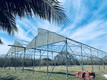 RANCHO CON GRAN VARIEDAD DE ARBOLES FRUTALES EN YOBAIN, YUC.
