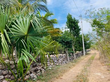 RANCHO CON GRAN VARIEDAD DE ARBOLES FRUTALES EN YOBAIN, YUC.
