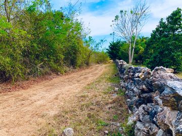 RANCHO CON GRAN VARIEDAD DE ARBOLES FRUTALES EN YOBAIN, YUC.