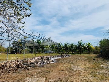 RANCHO CON GRAN VARIEDAD DE ARBOLES FRUTALES EN YOBAIN, YUC.