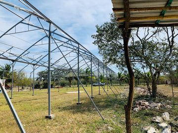 RANCHO CON GRAN VARIEDAD DE ARBOLES FRUTALES EN YOBAIN, YUC.