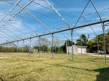 RANCHO CON GRAN VARIEDAD DE ARBOLES FRUTALES EN YOBAIN, YUC.