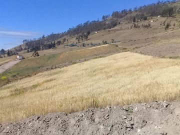TERRENO EN SAMANGA