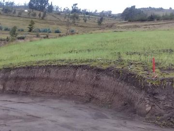 TERRENO EN SAMANGA
