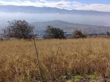 TERRENO EN SAMANGA