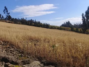TERRENO EN SAMANGA