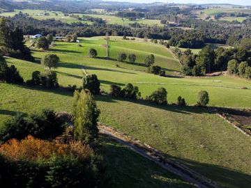 Parcela en venta en Los Muermos, Prado Norte - Región de Los Lagos