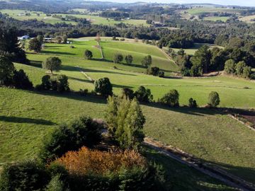 Parcela en venta en Los Muermos, Prado Norte - Región de Los Lagos