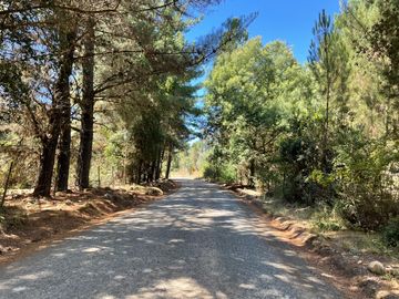 Parcelas 5000m2 Parral, agua potable instalada y luz ene l proyecto