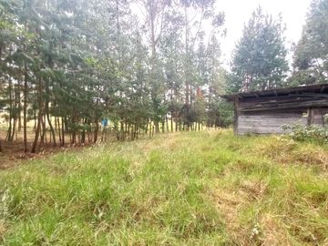 TERRENO EN VENTA EN EL VALLE, SECTOR SAN ANTONIO DE MALUAY