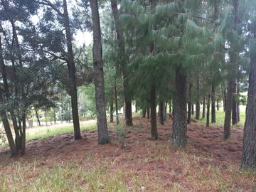 TERRENO EN VENTA EN EL VALLE, SECTOR SAN ANTONIO DE MALUAY