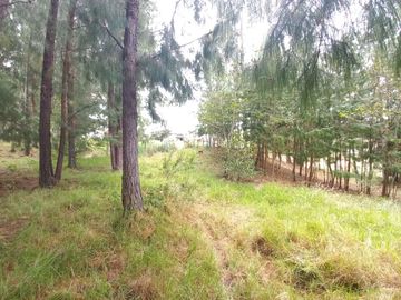 TERRENO EN VENTA EN EL VALLE, SECTOR SAN ANTONIO DE MALUAY
