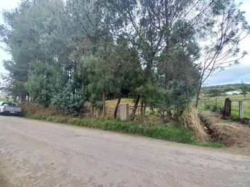 TERRENO EN VENTA EN EL VALLE, SECTOR SAN ANTONIO DE MALUAY