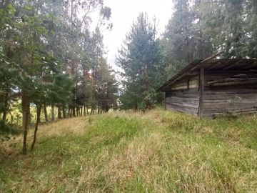 TERRENO EN VENTA EN EL VALLE, SECTOR SAN ANTONIO DE MALUAY