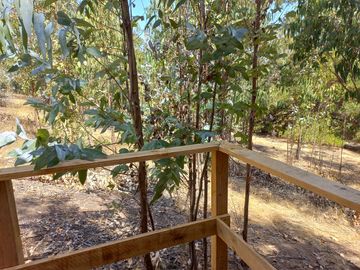 Valle Alegre, parcela 20.000 mts, cercada, con construcciones y pozo