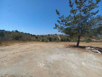 Valle Alegre, parcela 20.000 mts, cercada, con construcciones y pozo