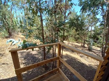Valle Alegre, parcela 20.000 mts, cercada, con construcciones y pozo