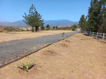 Valle Alegre, parcela 20.000 mts, cercada, con construcciones y pozo
