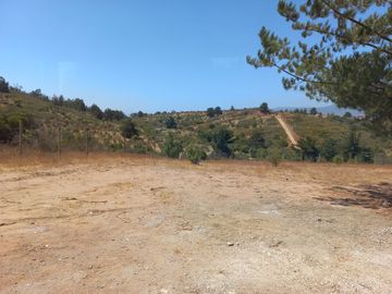 Valle Alegre, parcela 20.000 mts, cercada, con construcciones y pozo
