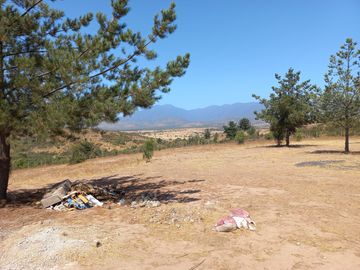 Valle Alegre, parcela 20.000 mts, cercada, con construcciones y pozo