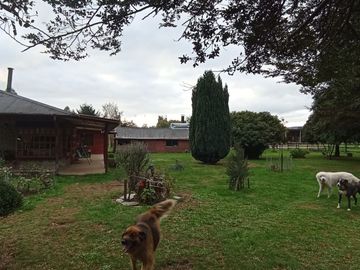 Sector Pancul, Parcela 1,46 Há con Casa UF 10.500.