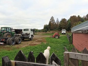 Sector Pancul, Parcela 1,46 Há con Casa UF 10.500.