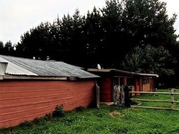 Sector Pancul, Parcela 1,46 Há con Casa UF 10.500.
