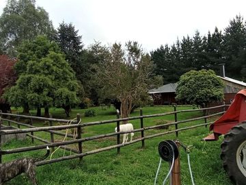 Sector Pancul, Parcela 1,46 Há con Casa UF 10.500.