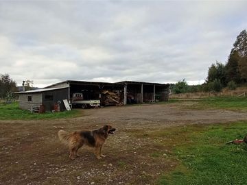 Sector Pancul, Parcela 1,46 Há con Casa UF 10.500.