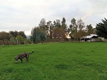 Sector Pancul, Parcela 1,46 Há con Casa UF 10.500.