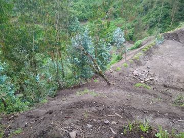 Venta de Terreno