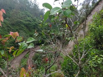 Venta de Terreno