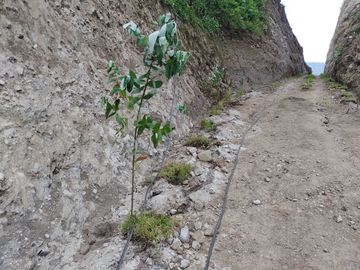 Venta de Terreno