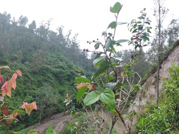 Venta de Terreno